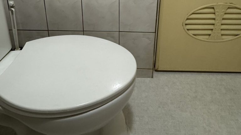 Bathroom Grab Bar Suction Cup Lesson Cover
